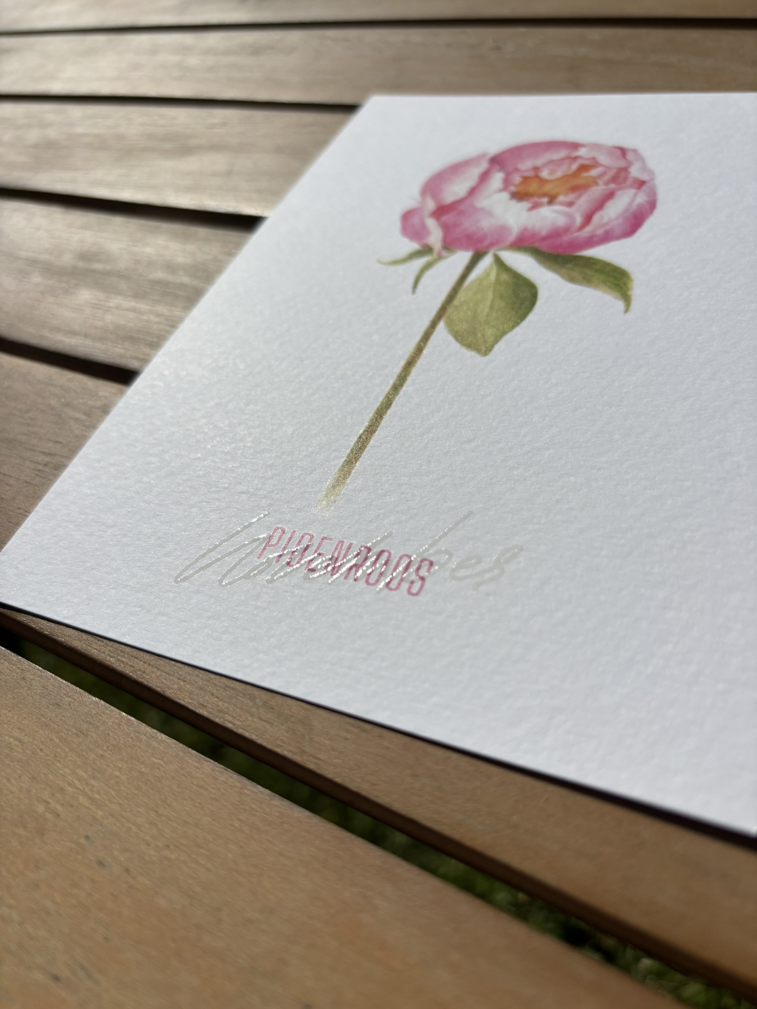 Pioenroos - November - Afbeelding 2