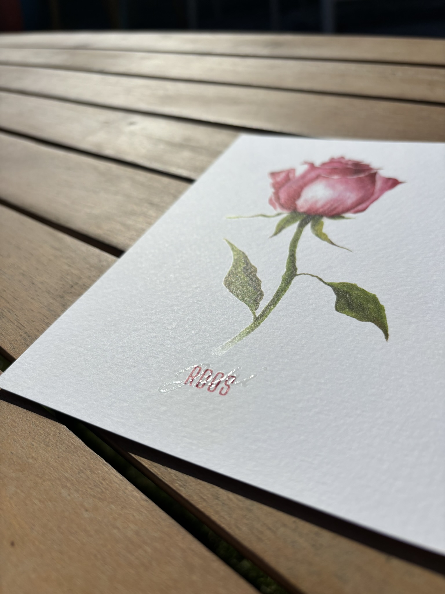 Roos - Juni - Afbeelding 2