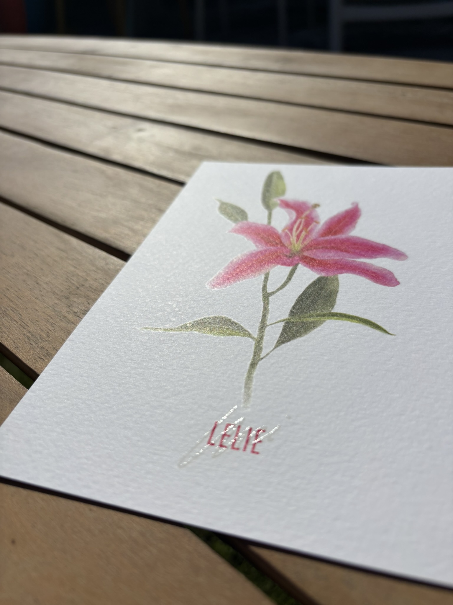 Lelie - Mei - Afbeelding 2