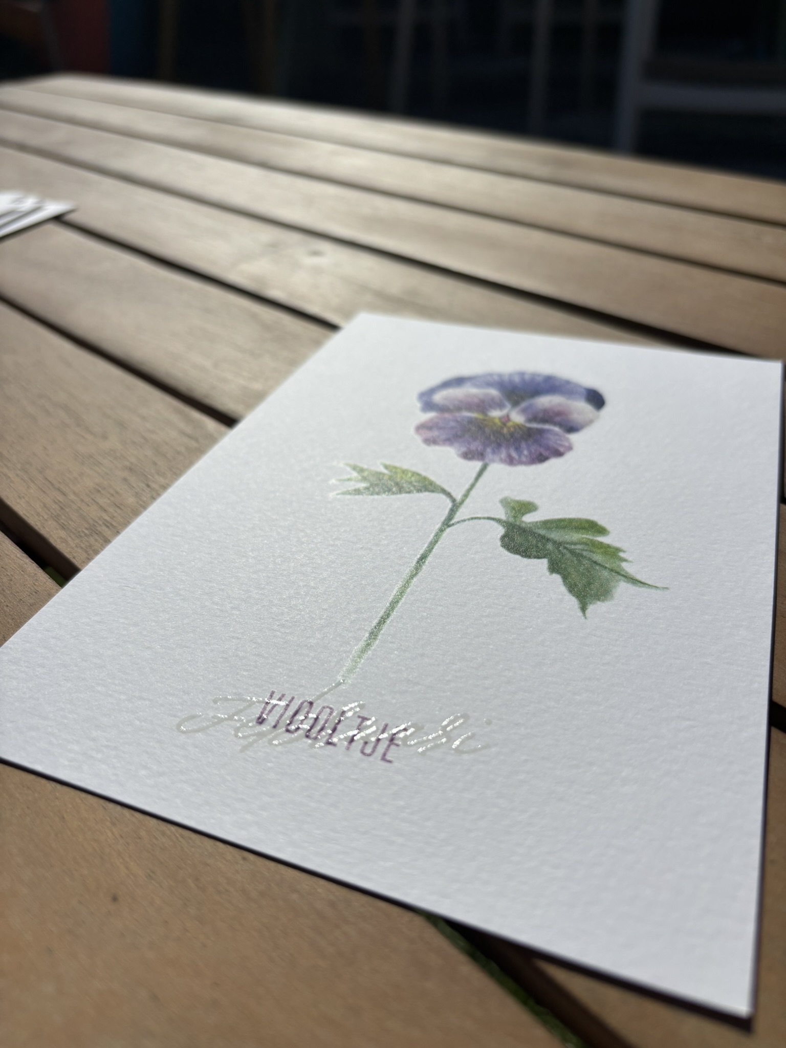 Viooltje - Februari - Afbeelding 2