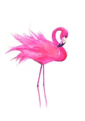 Flamingo
