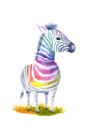 Zebra